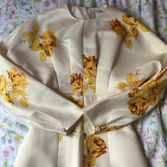 Emilia Wickstead Finley dress - Picture 8 of 11